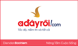 Adayroi VN